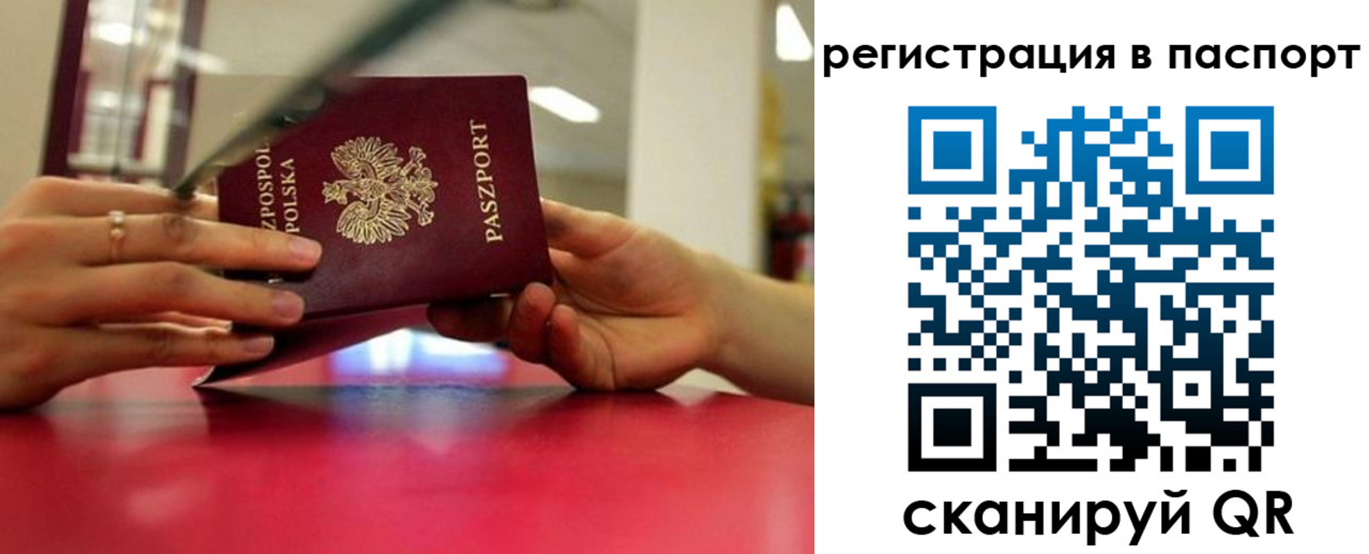 миграционный учет в Лыткарино